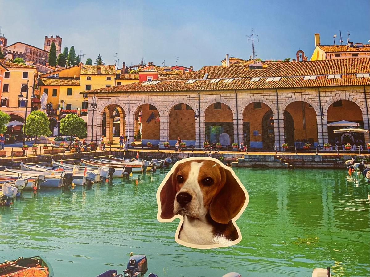 Desenzanoloft Blue Lake Star Leilighet Desenzano del Garda Eksteriør bilde